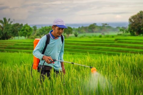 Farmer Working, Foto Editorial, Sunny Morning, Photo Awards, Photo Competition, Large Photos, Premium Photo, Adobe Stock, Farmer