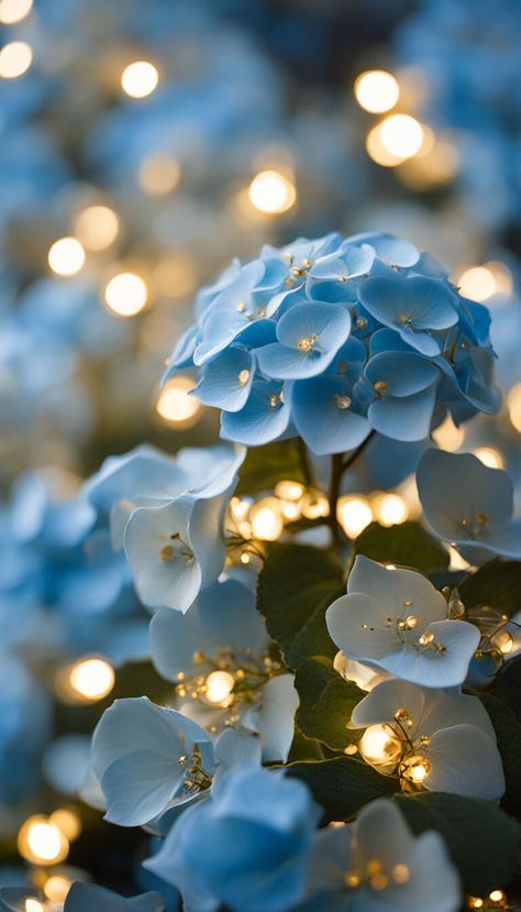 Blue and gold porcelain hydrangea - AI creation Hydrangea Wallpaper, Pretty Phone Wallpaper, Gold Wallpaper, Blue And Gold, Hydrangea, Phone Wallpaper, Nature Photography, Iphone Wallpaper, Porcelain