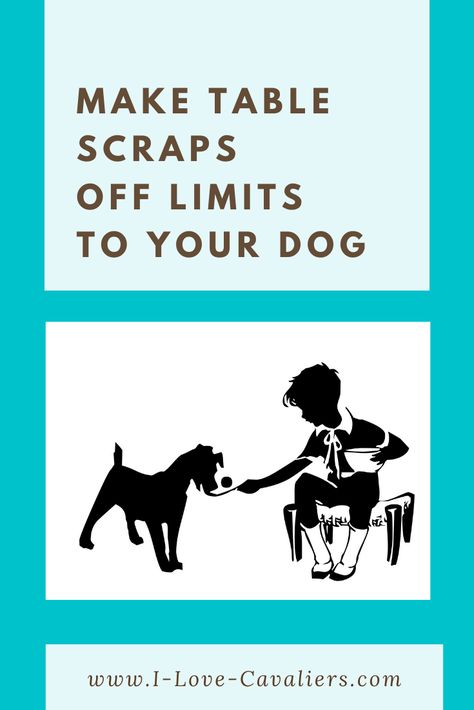 Select better alternatives to feed your dog instead of feeding him table scraps which could be very harmful to his health. Check out this blog post entitled Make Table Scraps Off Limits To Your Dog which explains why table food is not the best option for your pet. Healthy Dog Biscuits, Good Eating Habits, Make Table, Dog Table, Table Food, Healthier Options, Basic Needs, Dinner Bowls, Human Food