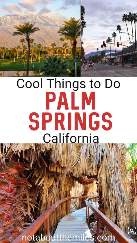 Palm Springs Hiking, Desert Getaway, Palm Springs Outfit, Palm Canyon, Palm Desert California, California Aesthetic, Desert Hot Springs, Desert Travel, Palm Spring