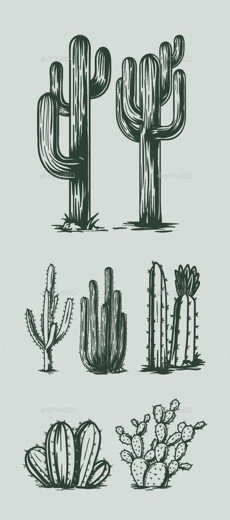 Desert Drawing, Cactus Silhouette, Cactus Graphic, Cactus Vector, Cactus Tattoo, Cactus Drawing, Cactus Illustration, Desert Design, Cactus Painting