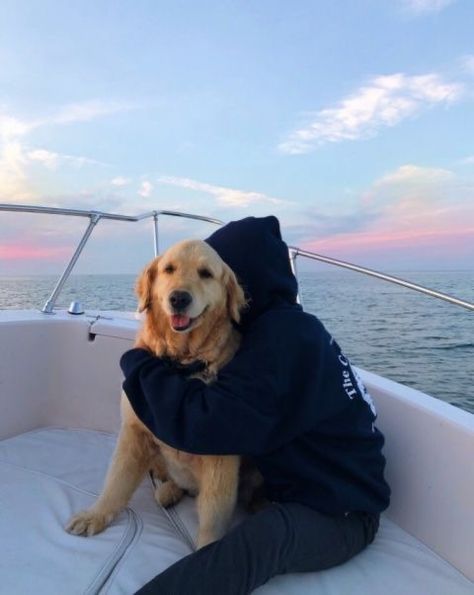 Dogs On Boats, Very Cute Dogs, Really Cute Dogs, Foto Inspiration, Cute Little Animals, Cuteness Overload, Puppy Love, Dog Mom, Cute Puppies