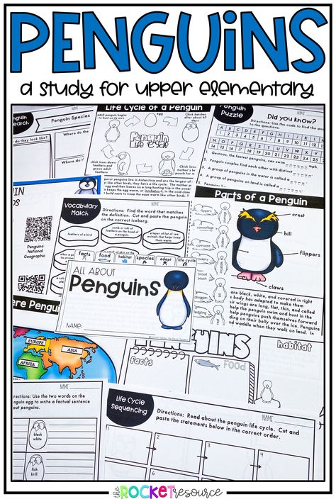 Older students love penguins too! Read about this penguin study for upper elementary students. An Arctic animal unit students love! Penguin Unit Study, 4th Grade Science Classroom, Fourth Grade Science Projects, Arctic Animals Activities, Science Classroom Ideas, Penguin Unit, Science Unit Studies, Love Studying, Free Human Body