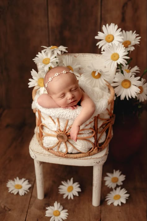 Flower Newborn Photography, Infant Portraits, Baby Boy Newborn Pictures, Cute Family Photos, Newborn Studio, Newborn Baby Photoshoot, Minimalist Baby, Newborn Baby Photos, Newborn Poses