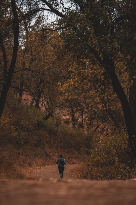 Fall Running Aesthetic, Trail Running Aesthetic, Autumn Moodboard, Running Path, Fall Running, October Mood, Rainy Fall, Running Photos, Fall Mood Board