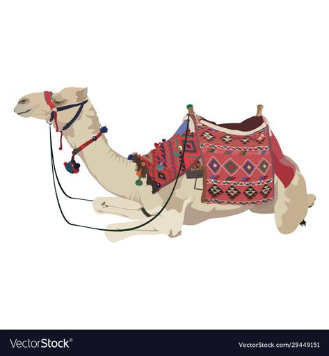 Camel Painting, Transparent Png, Png Images, Saddle, Adobe Illustrator, White Background, Camel, Vector Images, Vector Free