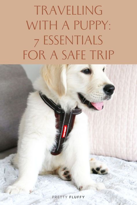 Traveling With Puppy Road Trips, Puppy Travel Bag Packing Lists, Puppy Travel Essentials, Dog Car Essentials, Puppy Essentials Products, Puppy Travel Bag, Berry Ideas, Puppy Essentials, Puppy Bag