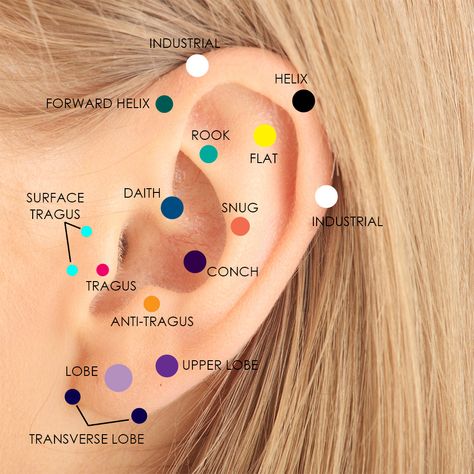 Which Cartilage Piercing Should I Get? | FreshTrends Body Jewelry Blog Piercing No Lóbulo, Ear Piercing Names, Piercings Bonitos, Ear Curation, Ear Peircings, Ear Piercings Chart, Piercing Chart, Double Ear Piercings, Types Of Ear Piercings