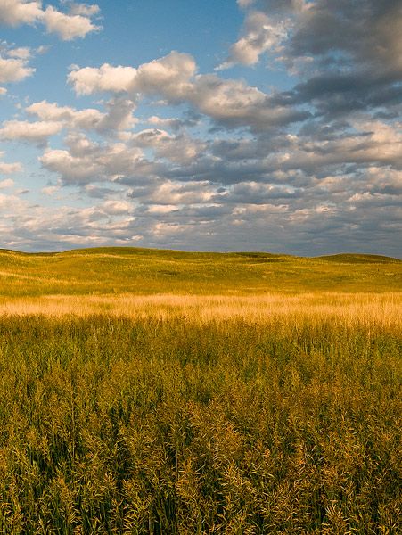 Valentine NWR, Nebraska Sandhills Nebraska, Wedding Flowes, Nebraska Sandhills, Prairie Wedding, Fields Of Gold, Light Photo, Country Life, Nebraska, Beautiful World