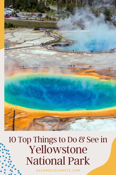 You can see all of these top things in Yellowstone National Park, even if you only have a day or two to spend. Yellowstone National Park Vacation, Lamar Valley, Wyoming Travel, Visit Yellowstone, Yellowstone River, National Park Photos, National Park Vacation, Travel Books, Old Faithful