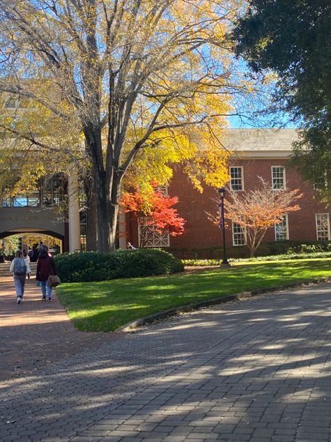 Furman University, University