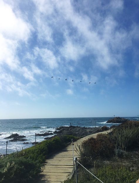 Path through Monterey bay on the Ocean, birds flying, rocks, clear sky California State University Monterey Bay, Csu Monterey Bay, Monterey California Aesthetic, Monterey Aesthetic, Monterrey California, Seaside California, Monterey Beach, Mid 30s, Monterey Bay California