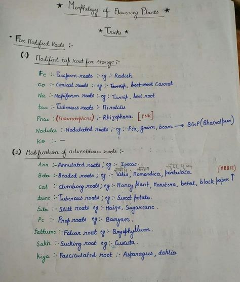 Class 11 Biology Notes Morphology In Flowering Plants, Morphology Of Flowering Plants Notes, Biology Tricks, Class 11 Biology Notes, Morphology Of Flowering Plants, Biology Class 11, Class 11 Biology, Instagram Tricks, Neet Notes