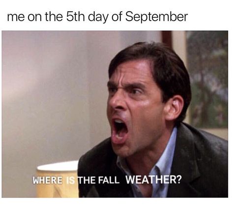 October Memes, Random Tweets, Random Funny Memes, Fall Humor, Fall Memes, Black Memes, Fall Mood Board, Fall Yall, Comic Relief