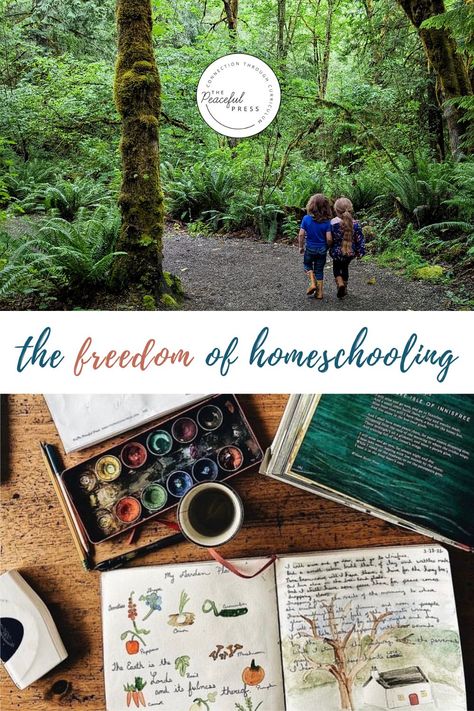 Homeschooling with The Peaceful Press empowers us to drop unreasonable expectations and sets us free to learn without restriction. We offer preschool, kindergarten and elementary curriculum to help your family enjoy learning together. Our family centered learning resources give you the opportunity to simplify your homeschool routine. Check out this post to discover the benefits and freedoms to homeschooling your children and find hands on learning activities. Wild And Free Homeschool, Homeschool Financial Literacy, Peaceful Press Homeschool, Homeschool Mom Books, Parenting On A Budget, Benefits Of Homeschooling, Elementary Curriculum, Learn History, Homeschool Routine