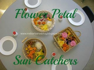 Flower Petal Sun Catchers Provocation Ideas, Provocations Reggio, Springtime Art, Childrens Gardening, Preschool Spring, Nature Studies, Art Learning, Preschool Craft, Spring Preschool