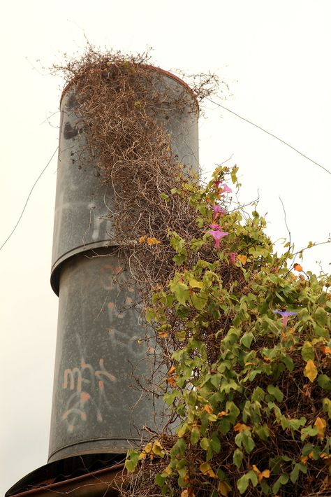 Nature vs Industry by Darren Schiller Nature Vs Industry, Man Vs Nature Photography, Nature Reclaiming, Man Made Environment, Industrial Artwork, Man Vs Nature, Environment Photography, Photography Sketchbook, Simple Complex