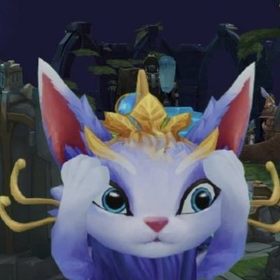 Yuumi League Of Legends, League Of Legends Pfp, Yuumi Lol, League Of Legends Icon, League Of Legends Meme, League Of Legends Funny, League Icons, Legend Cat, League Of Legends Wallpapers