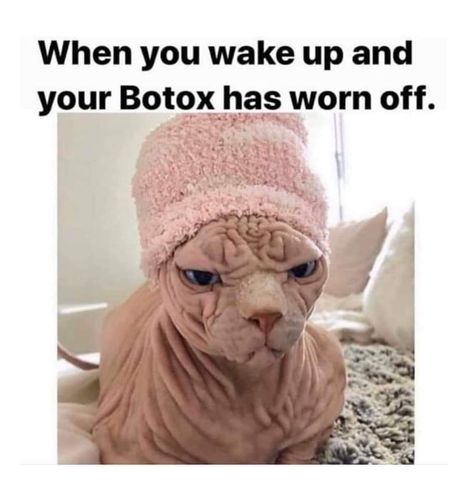 Botox Funny, Botox Quotes, Botox Before And After, Botox Lips, Image Meme, Botox Cosmetic, Cosmetic Injectables, Creme Anti Age, Facial Aesthetics