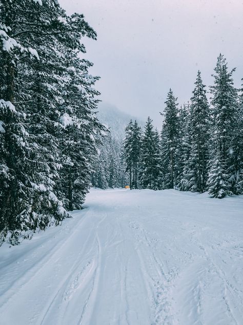 Winter Wallpaper Hd, Bansko Bulgaria, Paradise Places, Winter Wallpapers, Winter Iphone, Lovely Flowers Wallpaper, Ski Holidays, Winter Wallpaper, Winter Scenery