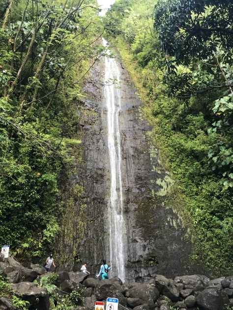 Manoa Falls Trail on Oahu - Cost, Parking and Other Helpful Tips Manoa Falls Oahu, Manoa Falls, Hawaii Guide, Honolulu Waikiki, North Shore Oahu, Hawaii Trip, Beautiful Hikes, Gorgeous Scenery, Banyan Tree