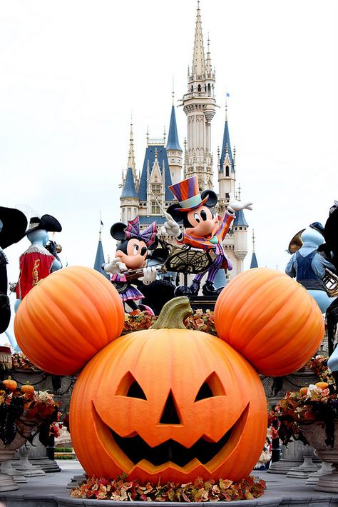 Tokyo Disneyland Halloween Money Star, Disney World Halloween, Disneyland World, Halloween Infantil, Disneyland Halloween, Halloween Disney, Scary Halloween Party, Disney Side, Halloween Time