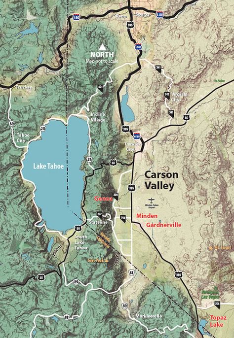 Ohv Trails, Carson City Nevada, Us Forest Service, Nevada Travel, Virginia City, Bureau Of Land Management, Sierra Nevada Mountains, Carson City, Land Management