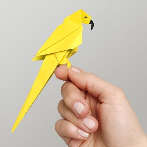 Origami Parrot, Easy Origami Animals, Diy Jewelry Stand, Animal Tutorial, Origami Animal, Arctic Tundra, Origami Step By Step, Origami Gifts, Origami And Quilling