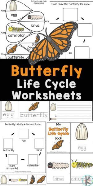 Butterfly Science Activities, Plant Life Cycle Worksheet, Pre K Sight Words, Butterfly Life Cycle Craft, Sunflower Life Cycle, Life Cycle Of A Butterfly, Cycle Of A Butterfly, Butterfly Science, Tracing Alphabet