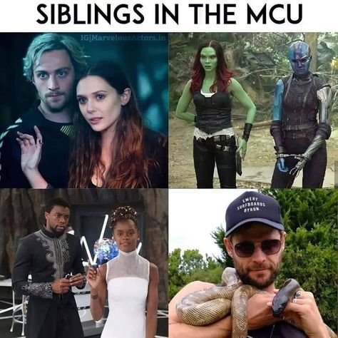 Avengers Humor, Superhero Memes, Funny Marvel Memes, Marvel Quotes, Marvel Avengers Funny, Dc Memes, Avengers Memes, Marvel Actors, Marvel Films