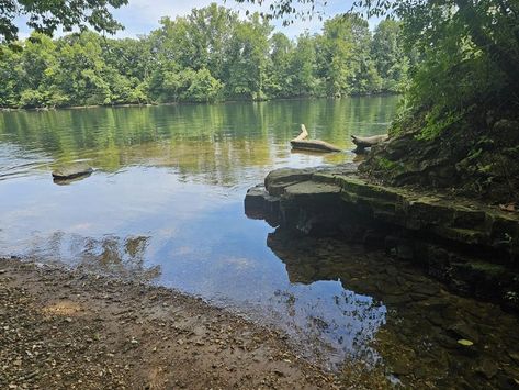 Sometimes while visiting Branson, its nice to get away from all the crowds. Well The Lakeside Forest Wilderness Area is a perfect place to do just that. Lakeside Forest Wilderness Area is located in the in the heart of Branson and offers a nature escape with 140 acres of wooded and rugged hill country and 5.3 miles of trails. #hiking#missouri#lakeside Missouri Hiking, Nature Escape, Branson Missouri, Forest Trail, Adventure Quotes, Hill Country, Stunning View, Solo Travel, Missouri