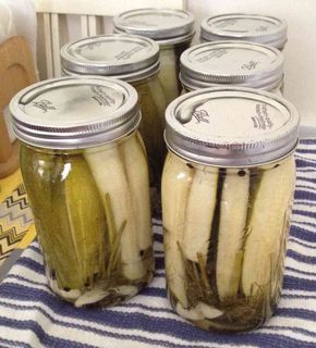 Dill Zucchini Pickles, Dill Zucchini, Pickled Zucchini, Zucchini Relish Recipes, Canning Zucchini, Canned Zucchini, Garden Canning, Zucchini Relish, Zucchini Pickles