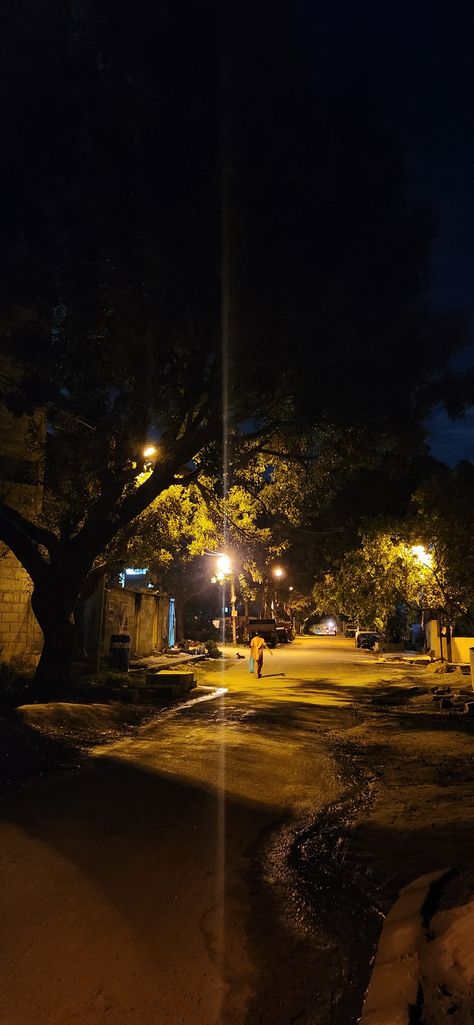 trees at night with streetlight Evening Walk Aesthetic, Aesthetic Peaceful, Walk Aesthetic, Late Evening, Evening Walk, Walking, Pins, Quick Saves