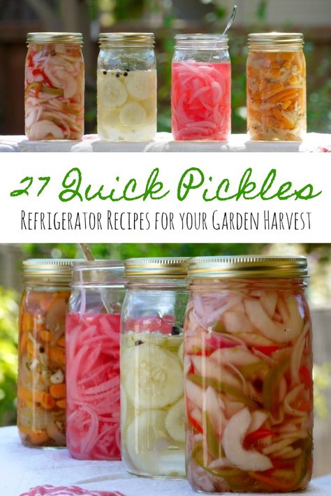 27 Quick Pickles - Refrigerator Recipes for Your Garden Bounty | The Good Hearted Woman Quick Pickle Recipe, Quick Pickle, Refrigerator Pickle Recipes, Pickled Vegetables Recipe, Quick Pickles, Pickle Recipes, Canning Pickles, Refrigerator Pickles, Fermentation Recipes