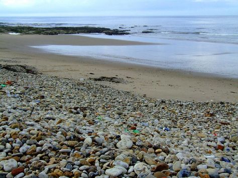 seaham beach- lots of sea glass Beach England, Beach Glass Projects, Seaham Beach, England Beaches, Uk Beaches, Beach Books, Ocean Treasures, Glass Beach, Sea Glass Beach