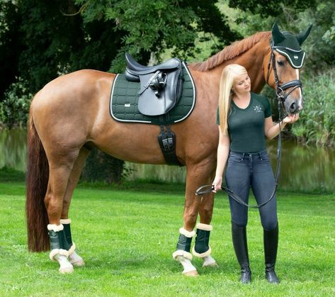 Chestnut Horse Tack Colors, Horse Rider Outfit, Discipline Inspiration, Horse Riding Fashion, Riding Outfits, Dream Horse Barns, Horse Saddle Pads, Equestrian Aesthetic, Horse Riding Clothes