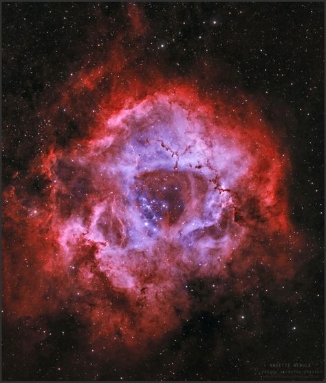 Rosette Nebula, Andrew Mccarthy, Orion Constellation, Major Tom, Space Lovers, Space Images, Light Year, Deep Space, A Rose