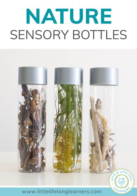 Nature Sensory Bottles - Little Lifelong Learners Natural Sensory Bottles, Nature Based Infant Classroom, Nature Exploration, Nature Themed Classroom Preschool, Forest Theme Preschool, Nature Toddler Activities, Nature Based Classroom, Infant Room Daycare, Sensory Play Toddlers