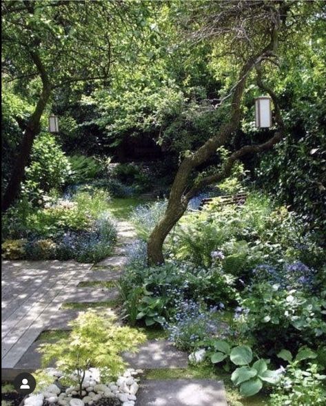 Small Cottage Garden Ideas, Shade Garden Design, Small Courtyard Gardens, Courtyard Gardens Design, Cottage Garden Design, Have Inspiration, Backyard Inspiration, Backyard Garden Design, Garden Pathway