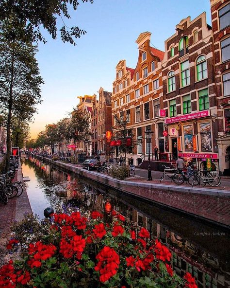 Guide to Amsterdam: Kim Logchies Prins shares her insider knowledge of Amsterdam's art scene and how to spend the perfect day in the spirited city. Amsterdam Red Light, Red District, Amsterdam Bucket List, Amsterdam Red Light District, Amsterdam Art, Visit Amsterdam, I Amsterdam, Red Light District, Amsterdam Travel