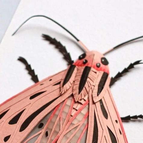 Strictly Paper Art on Instagram: "Pretty in pink a paper moth by @kauri_paperstudio #moth #prettyinpink #paperart #kirie" How To Make Paper Moths, Moth Paper Craft, Cardboard Insect Sculpture, Pink And Yellow Moth, Large Tolype Moth, 3d Butterflies, Childrens Art, Bugs, Art Classes