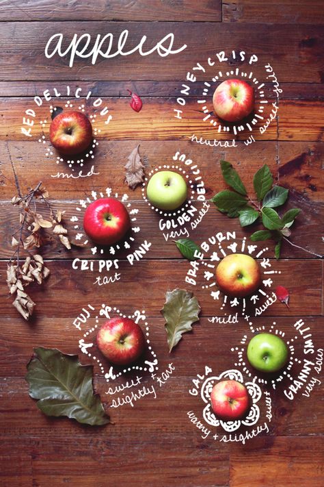 Apple Varieties Apple Recipes, Fruits And Veggies, Food Design, Food Styling, Food Photo, Food Hacks, Cooking Tips, Cooking And Baking, Apples