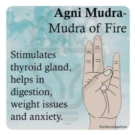 Surya Mudra, Healing Reflexology, Chakra Health, Yoga Facts, Mantra For Good Health, Yoga Hands, Ayurvedic Healing, Healing Yoga, Spiritual Yoga