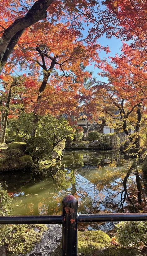 Japan In Autumn Aesthetic, Japanese Fall Wallpaper, Japanese Fall Aesthetic, Japan Aesthetic Autumn, Fall In Japan Aesthetic, Japan In The Fall, Japanese Autumn Aesthetic, Japan Lifestyle Aesthetic, Japan Autumn Aesthetic