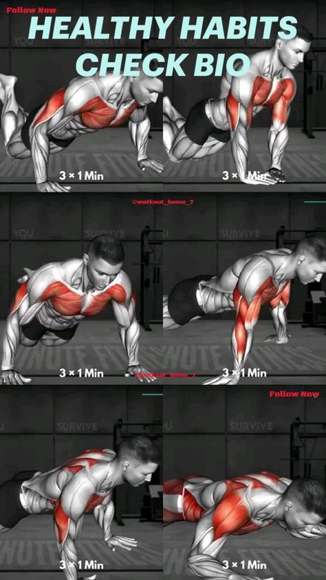 Bodyweight Back Workout, Kegel Exercise For Men, Home Workout Men, Workout Program Gym, Six Pack Abs Workout, Abs Workout Gym, Kegel Exercise, Abs And Cardio Workout, Muscle Building Workouts