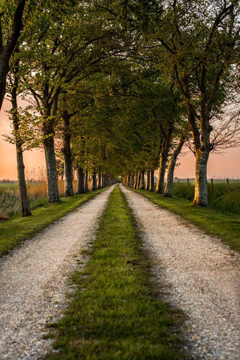 Wow Photo, Dirt Road, Back Road, Nature Aesthetic, Pretty Places, Country Life, Beautiful World, In The Middle, Beautiful Landscapes