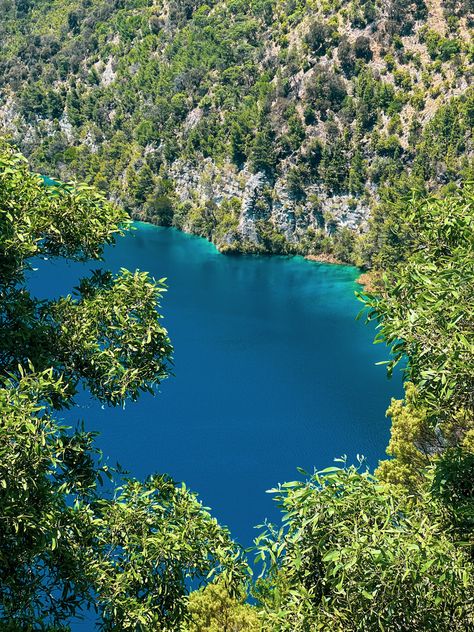 Mount Gambier is a town that should not be missed if you’re travelling across the South Australia and Victoria border. The town’s deep blue lakes, mysterious sinkholes, and volcanoes make it a true gem. Dive into our unforgettable 48-hour itinerary of Mount Gambier! Mount Gambier South Australia, Mount Gambier, Australia Bucket List, Sunken Garden, Caravan Park, Blue Lake, A Town, Crystal Clear Water, Hidden Gem