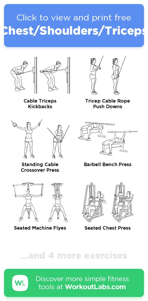 Chest Arms Shoulder Workout, Chest Press Machine Workouts, Chest And Tricep Workout Machine, Tricep Machine Workout, Chest Workout Gym Machines, Push Day Workout Gym Machines, Shoulder Tricep Chest Workout, Cheat And Tricep Workout Gym, Chest Triceps Shoulders Workout