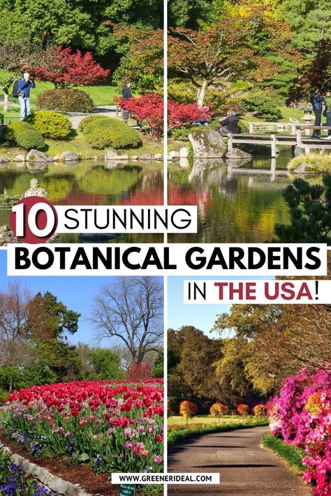 Whether you’re looking for a quiet place to relax or want to learn more about plants and flowers, botanical gardens offer something for everyone. Botanical gardens are a stunning sight to behold, and the United States is home to some of the most beautiful ones in the world. If you’re looking for an amazing botanical garden to visit in the U.S., be sure to check out one of these ten stunning gardens. #USA #Gardens #family #familytravel #botanicalgarden Eco Friendly Cleaning Products, About Plants, A Quiet Place, Flowers Botanical, Most Beautiful Gardens, Square Foot Gardening, Quiet Place, Natural Diy, Food Garden