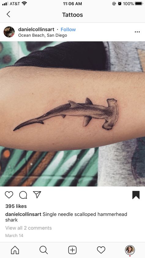 Hammerhead Shark Tattoo With Flowers, Reef Shark Tattoo Simple, Hammerhead Tattoo Shark, Detailed Shark Tattoo, Small Hammerhead Shark Tattoo, Blacktip Shark Tattoo, Galapagos Shark Tattoo, Shark Forearm Tattoo, Hammer Head Tattoo